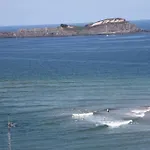 Kurtzieta *